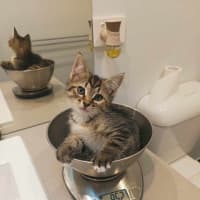 Photo of Winnie
