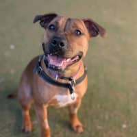 Photo of Winnie