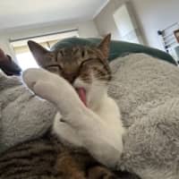 Photo of Winnie