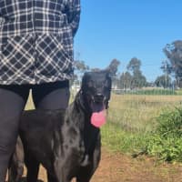 Photo of Roxy