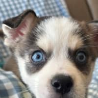 Photo of Charlie