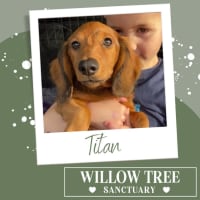 Photo of Titan