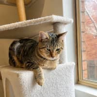Photo of Stormy 🌩️