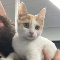 Photo of Cinnabon