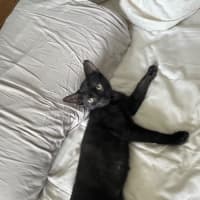 Photo of Missy