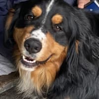 Photo of Edwin