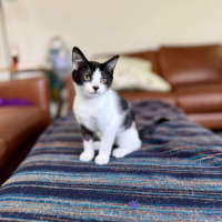 Photo of Marra   Meet Me At Vets On Parker