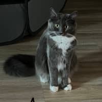 Photo of Otis