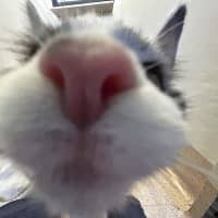 Photo of Vicki