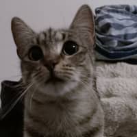 Photo of Bea