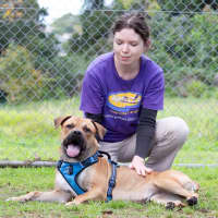 Photo of Barney 