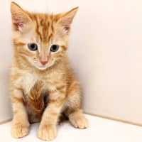 Photo of Splash