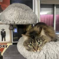 Photo of Meg
