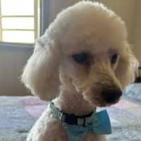 Photo of George