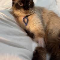 Photo of Winnie