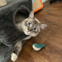 Photo of Sailor
