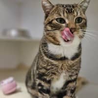 Photo of Cutie Pie