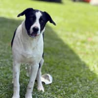Photo of Calvin