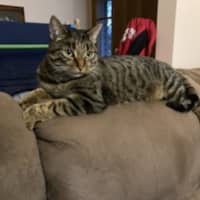 Photo of Tilly