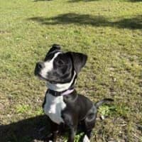 Photo of Diva