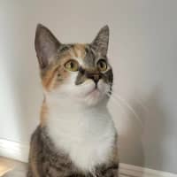Photo of Winnie 