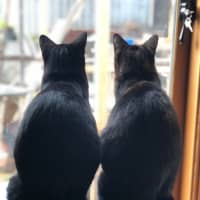 Photo of Stanley & Rosie