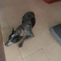 Photo of Jiemba