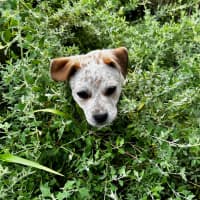 Photo of Mimzy