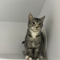 Photo of Penelope