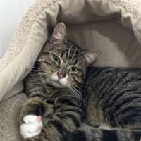 Photo of Louie