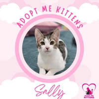 Photo of Sally