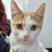 Photo of Cinnabon