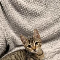 Photo of Mabel