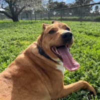 Photo of Duke