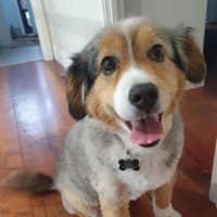 Photo of Wish