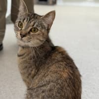 Photo of Sally Field (9004)