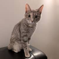 Photo of Luna