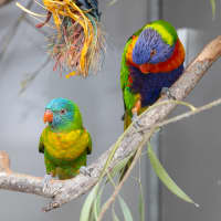 Photo of Lorri