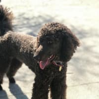Photo of Xander