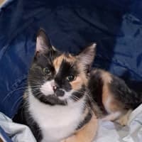 Photo of Agnes
