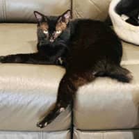 Photo of 11162   Bob