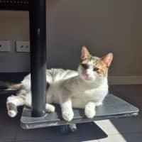 Photo of Leo