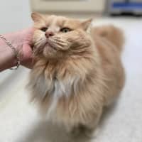 Photo of Garth (0030)