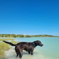 Photo of Rudi