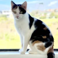 Photo of Mumm