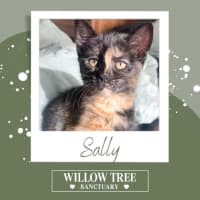 Photo of Sally