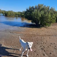 Photo of Seren