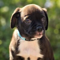 Photo of Twix