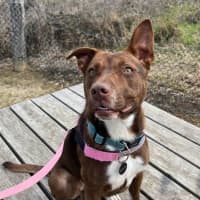 Photo of Lulu