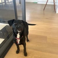 Photo of Maisy
